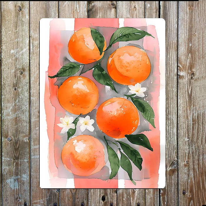 Orange Fruit | Contemporary Watercolour | Metal Sign Plaque