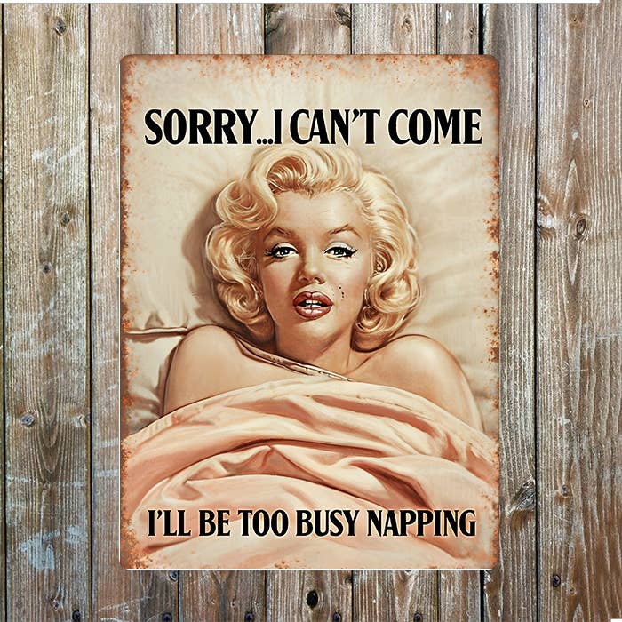 Sorry i Can't Come Too Busy Napping Retro Metal Sign Plaque
