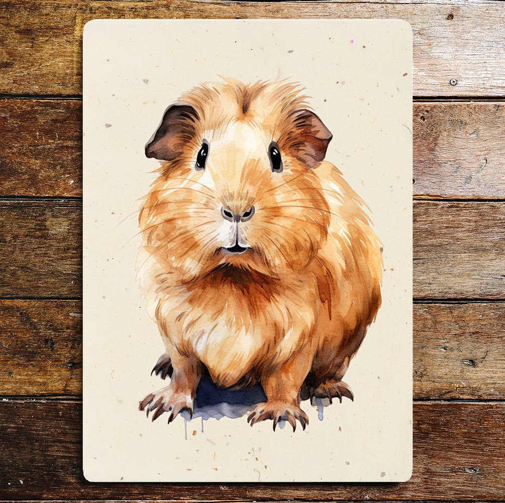Mr Guinea Pig Pet Art | Metal Sign Plaque