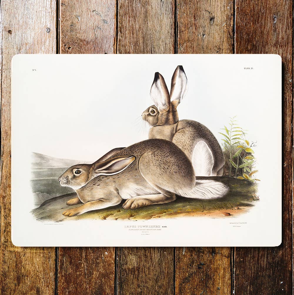 Resting Rabbits Hillside Country View Metal Sign Plaque
