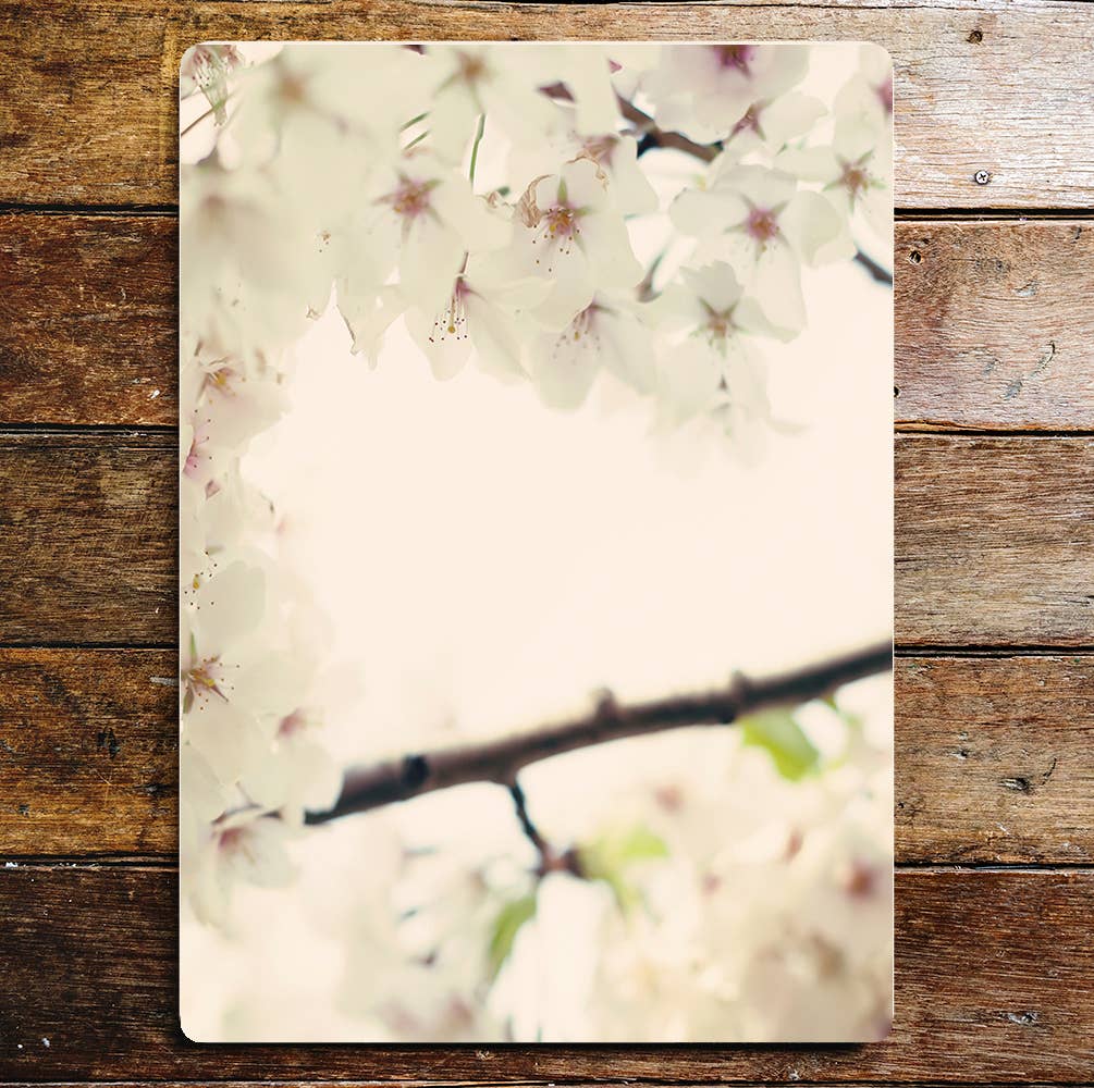 Spring Blossom nature art Metal Sign Plaque