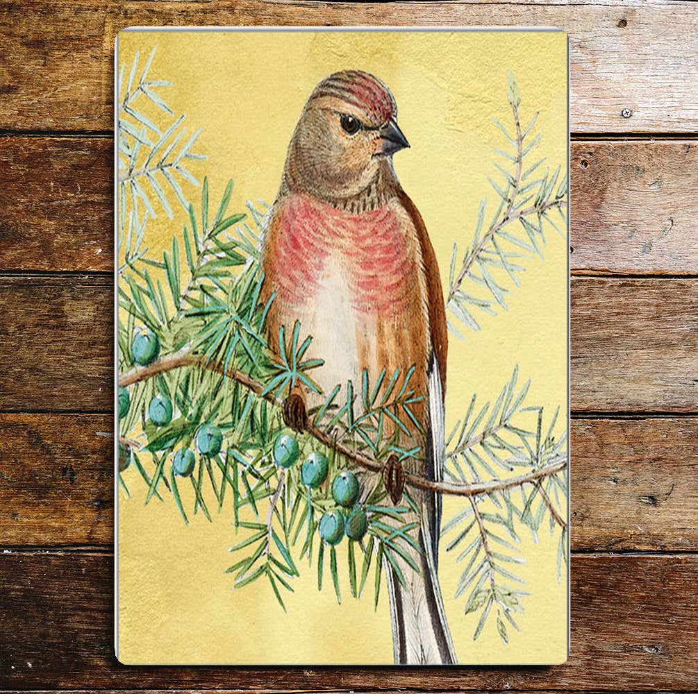 bird spring tweet | Metal Sign Plaque