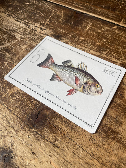 Bass fish | Metal Vintage Wall Sign