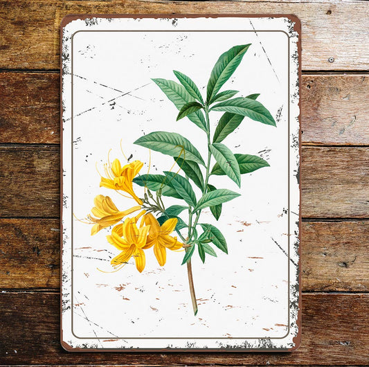 yellow azalea Plant | Metal Wall Sign