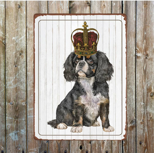 King Charles spaniel pet lifestyle | Metal Sign Plaque