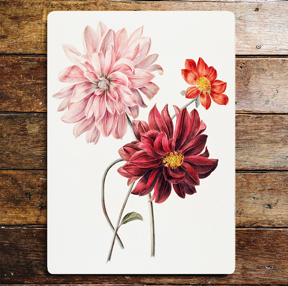 Wild flowers' dahlia lifestyle | Metal Sign Plaque
