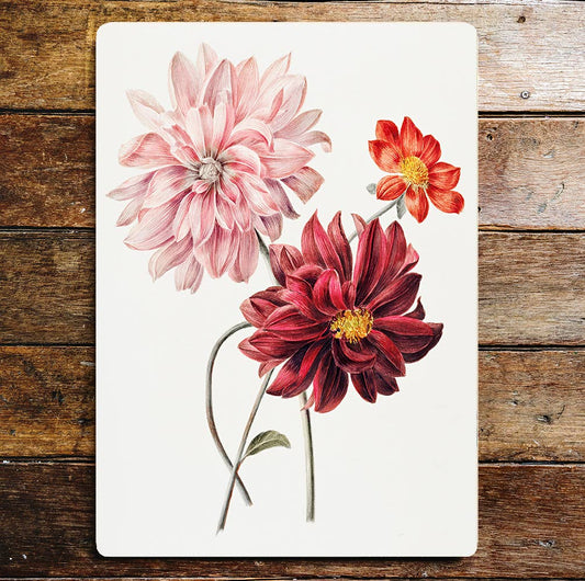 Wild flowers' dahlia lifestyle | Metal Sign Plaque