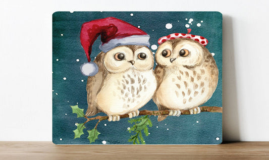 Santa Owls Christmas | Metal Sign Plaque