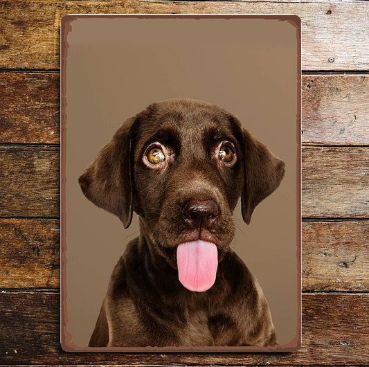 Funny Cute Brown Labrador Dog Tongue Eyes | Metal Sign Plaque