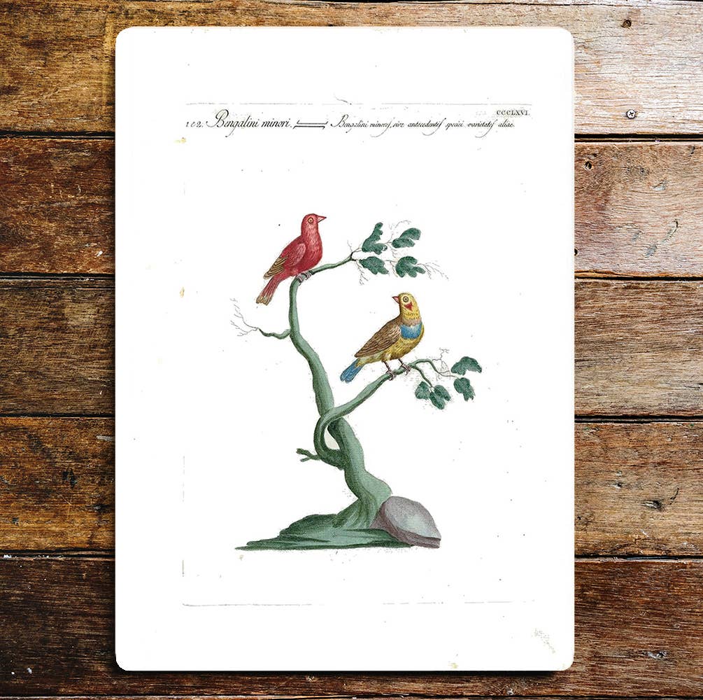 Red Yellow Blue Birds Tree Branch Leaves Metal Sign Plaque