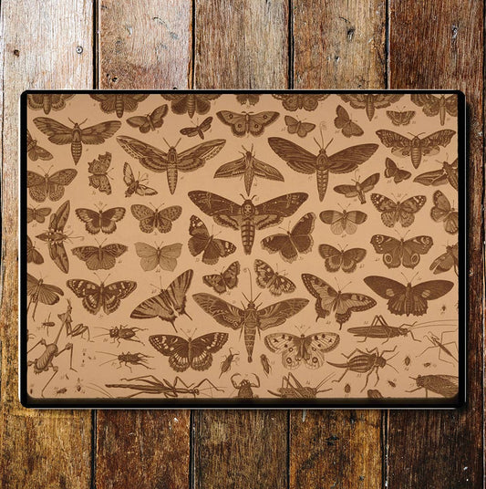 Butterfly Insect Chart | Metal Sign Plaque