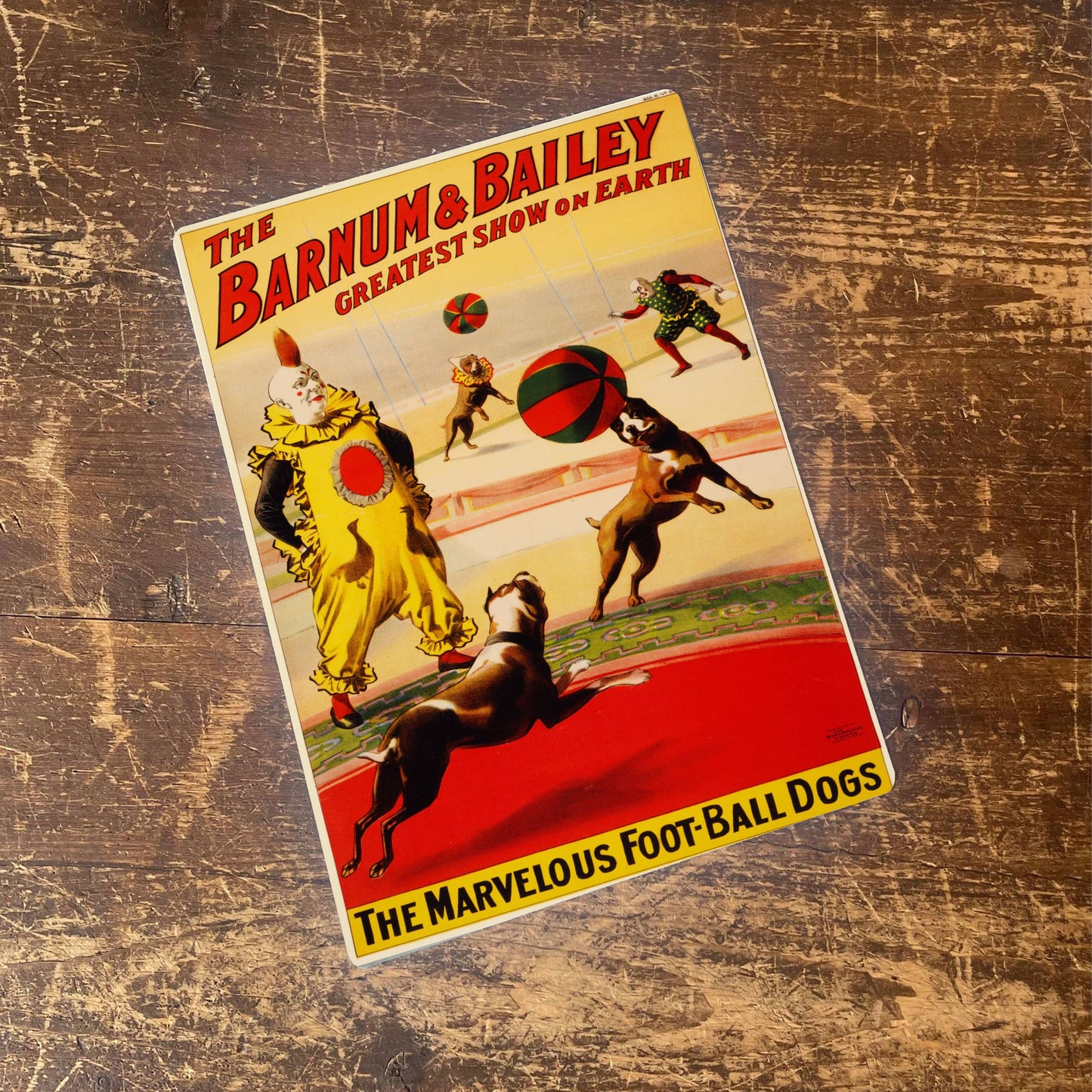 Football Dogs Circus Barnum Bailey | Metal Sign