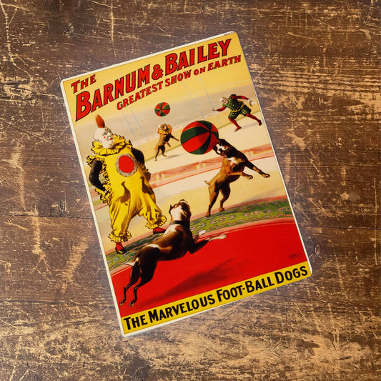 Football Dogs Circus Barnum Bailey | Metal Sign