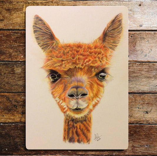 Cute Smiling Llama Head Portrait | Metal Sign Plaque