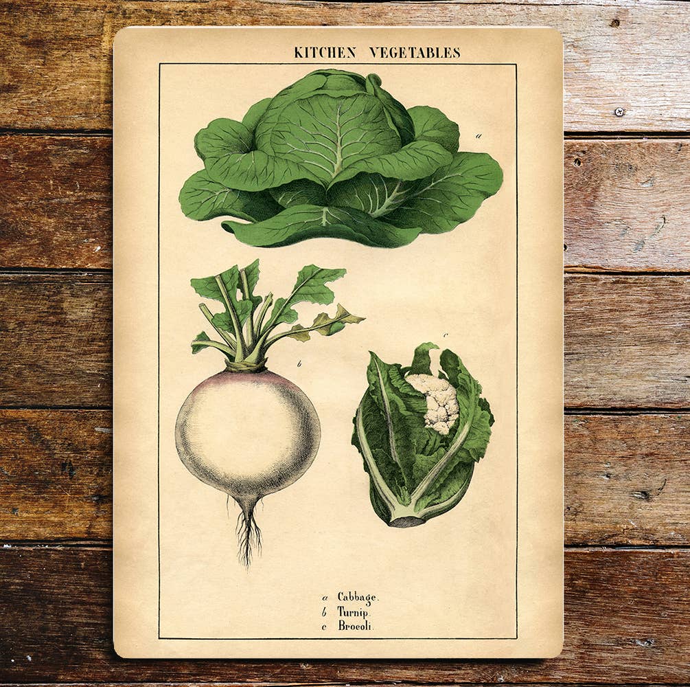 Kitchen Vegetables Cabbage Turnip | Metal Sign Plaque