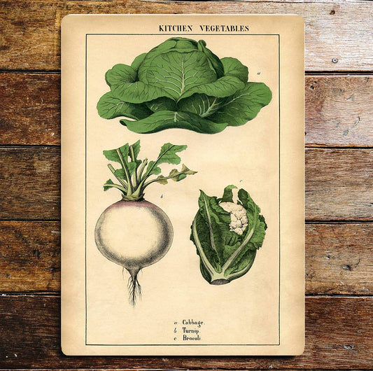Kitchen Vegetables Cabbage Turnip | Metal Sign Plaque