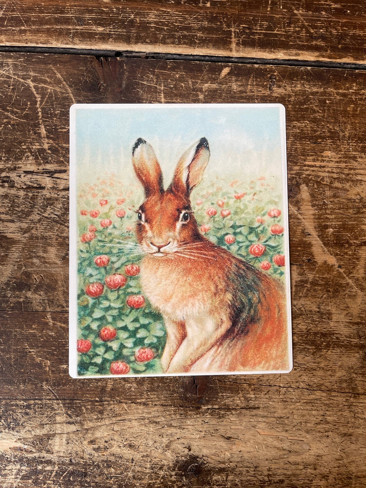 Hare Illustration | Metal Botanical Wall Sign