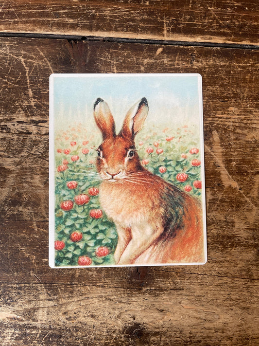 Hare Illustration | Metal Botanical Wall Sign