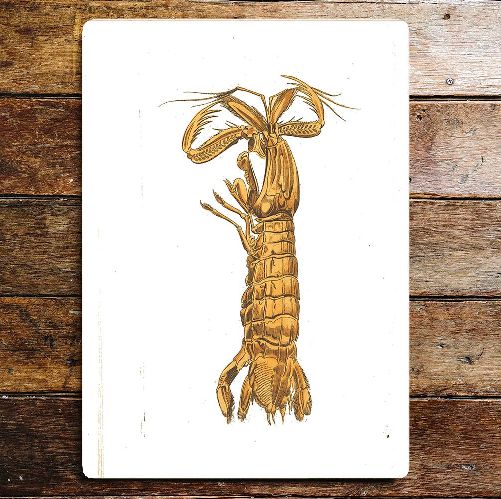 Lobster Sea Creature | Metal Wall Sign Plaque