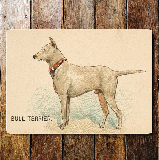 Bull Terrier
Dog breed | Metal Sign Plaque
