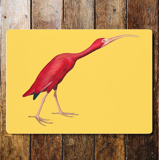 Pink Walking Ibis Bird Metal Sign Plaque
