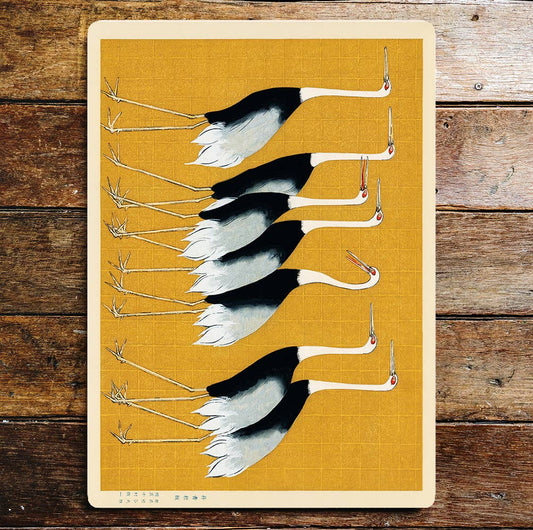 Black And White Legged Birds Feathers | Metal Sign Plaque