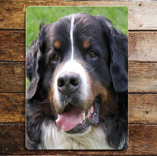 Bernese Mountain Dog wall art | Metal Sign Plaque