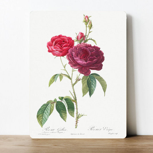 Red Flowers Floral Garden Calm Spa Metal Sign Plaque