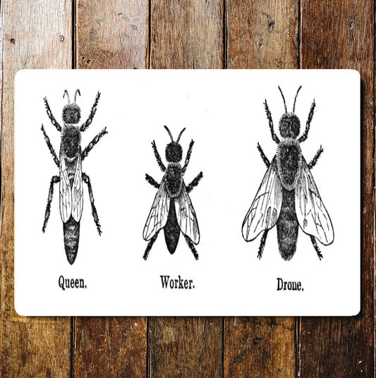 Life of the Bee Queen Worker Drone | Metal Sign Plaque