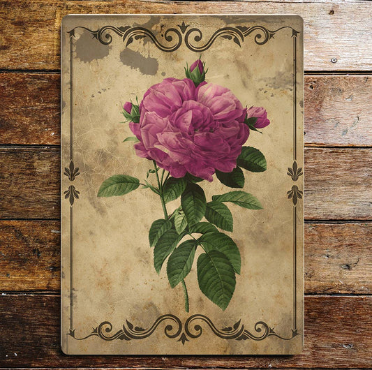 Pink Rose Stems Buds Card Vintage Metal Sign Plaque