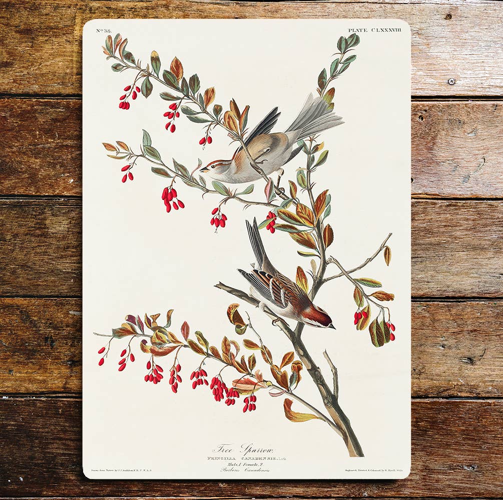 Tree Sparrows in Red Berry Tree | Metal Sign Plaque