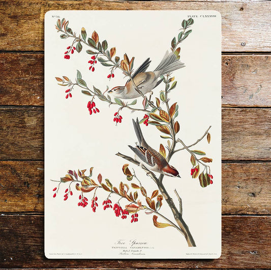 Tree Sparrows in Red Berry Tree | Metal Sign Plaque