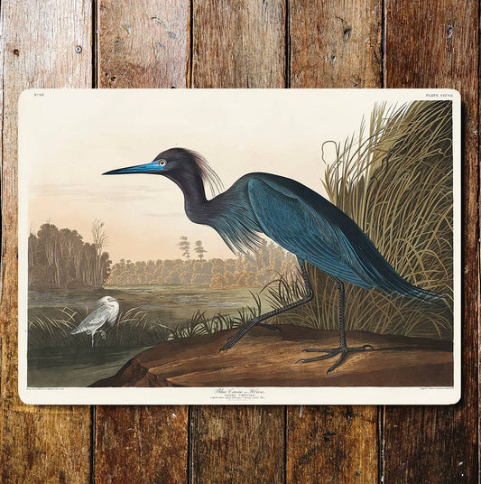 Blue Crane Heron Bird River Side | Metal Sign Plaque