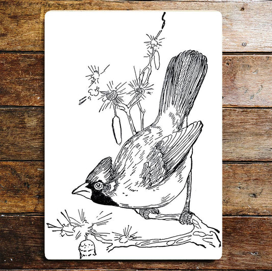 Bowing Perched Bird Pencil Drawing | Metal Sign Plaque