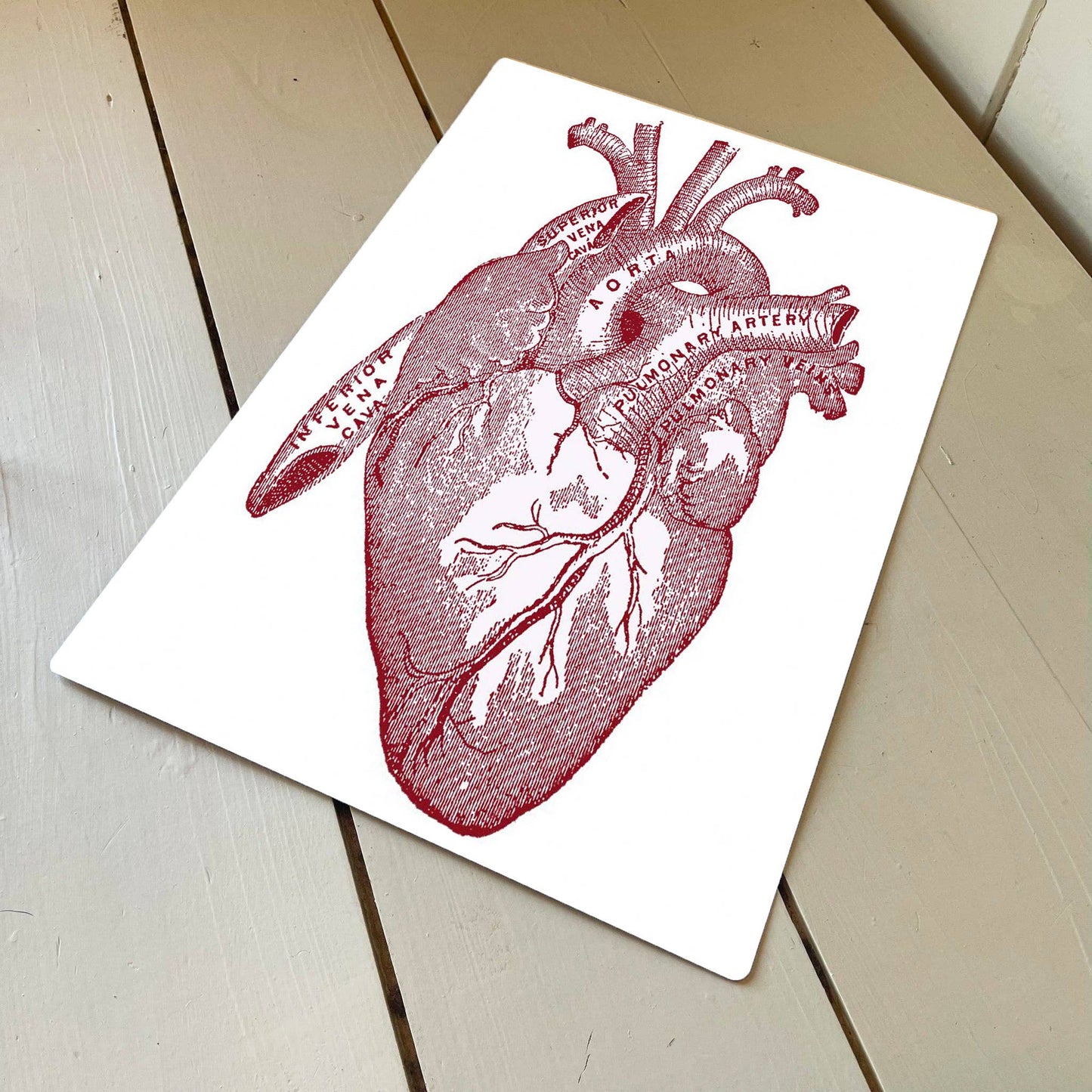 Heart Anatomical | Metal Advertising Wall Sign