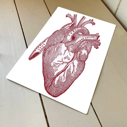 Heart Anatomical | Metal Advertising Wall Sign