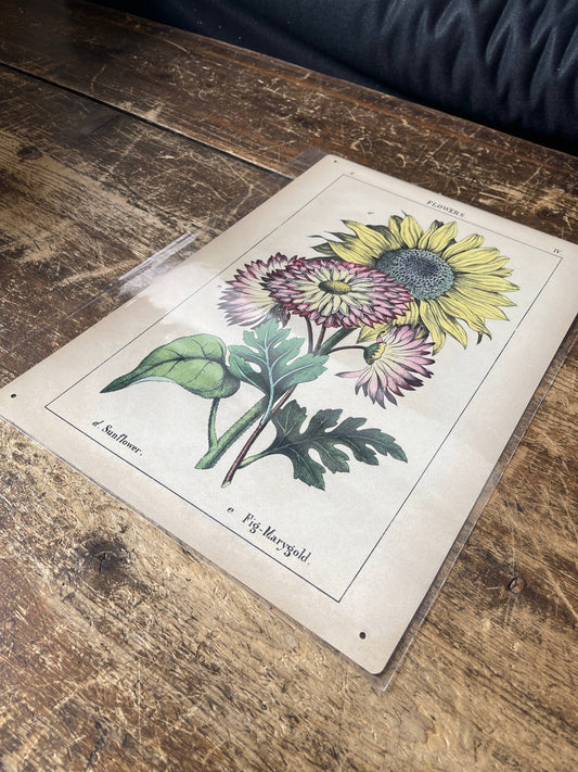 Sunflowers Flowers Metal Floral Wall Sign