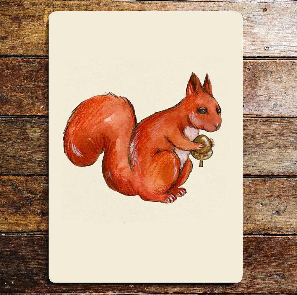 Red Squirrel With Acorn Metal Sign Plaque