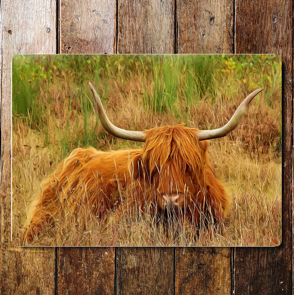 Highland Cow, Scotland Farm Life Art | Metal Sign Plaque