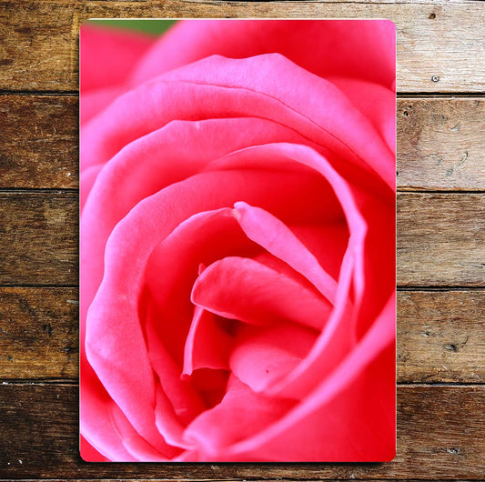 Garden roses flower red pink art | Metal Sign Plaque