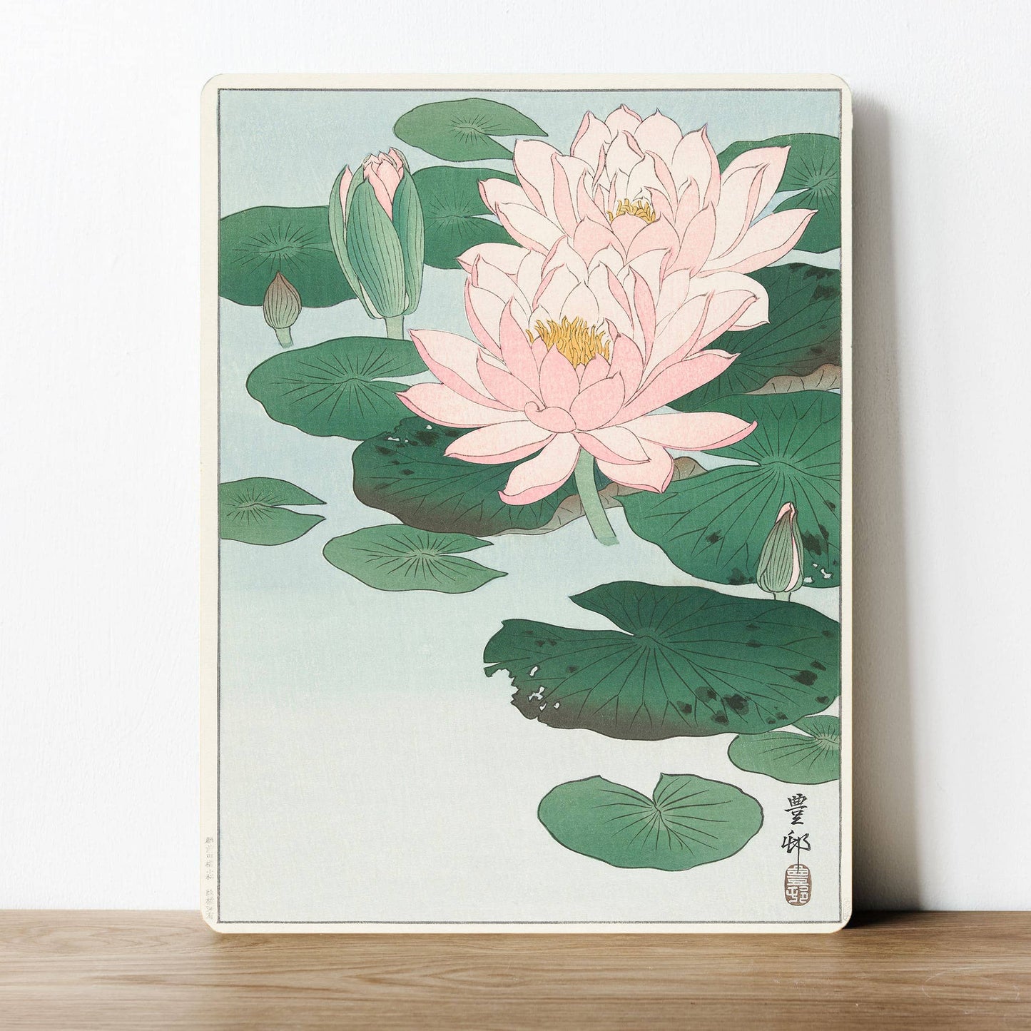 Waterlily Pretty Cute Flower Pink Water | Metal Sign Plaque
