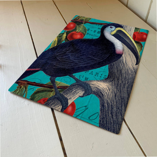 Toucan Blue Metal Humour Wall Sign