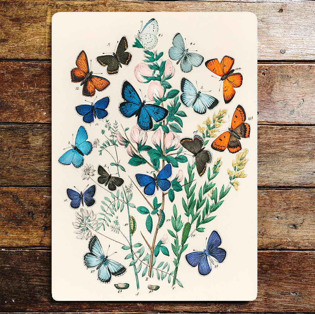 Selection of Butterflies Metal Sign Plaque