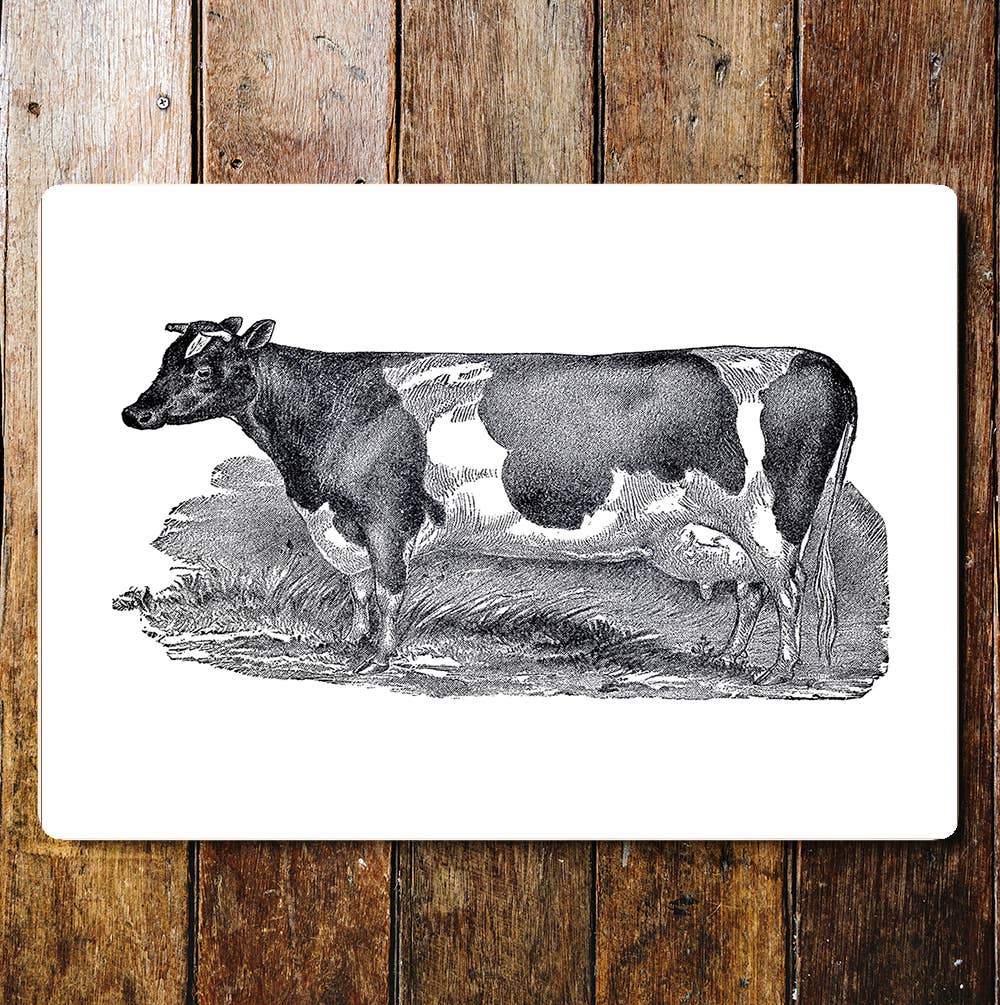 Square Cow Black And White Field Metal Sign Plaque