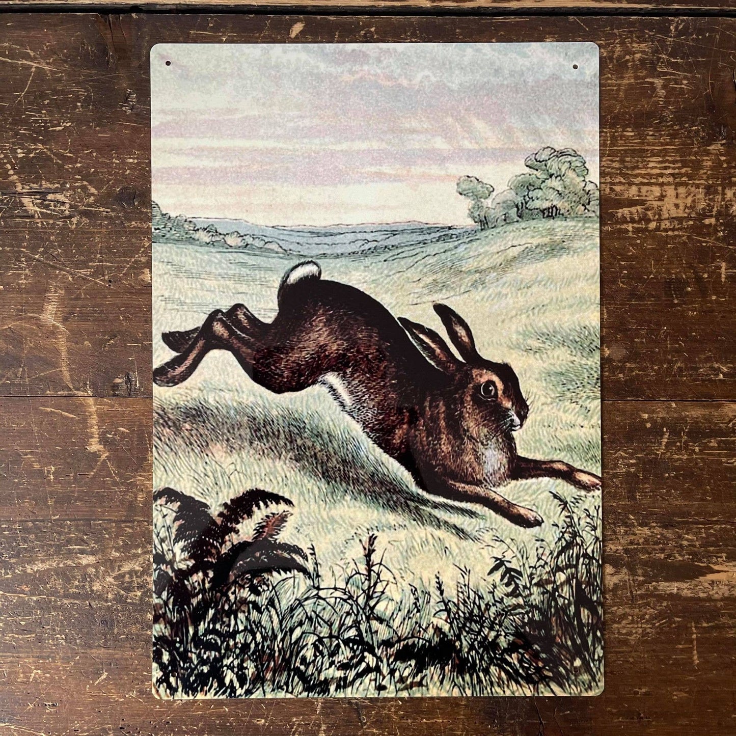 Hare Illustration Field | Metal Botanical Wall Sign