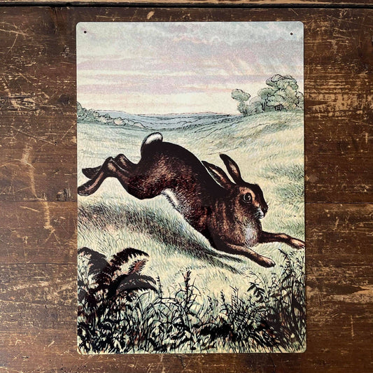 Hare Illustration Field | Metal Botanical Wall Sign