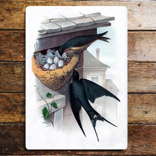 Swallows Nest Eggs Metal Wall Sign