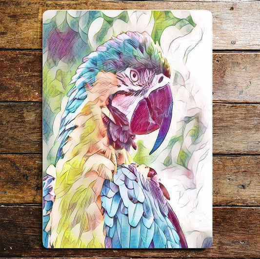 Watercolour Parrot Blue Pink Purple | Metal Sign Plaque
