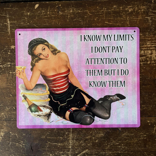 I Know My Limits I Don't Pay Attention | Metal Sign