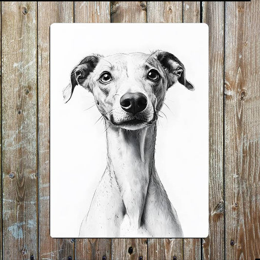 Black & White Greyhound Whippet Dog | Metal Sign Plaque